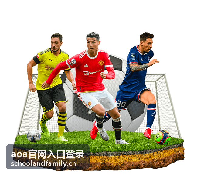 aoa官网入口登录指南教程